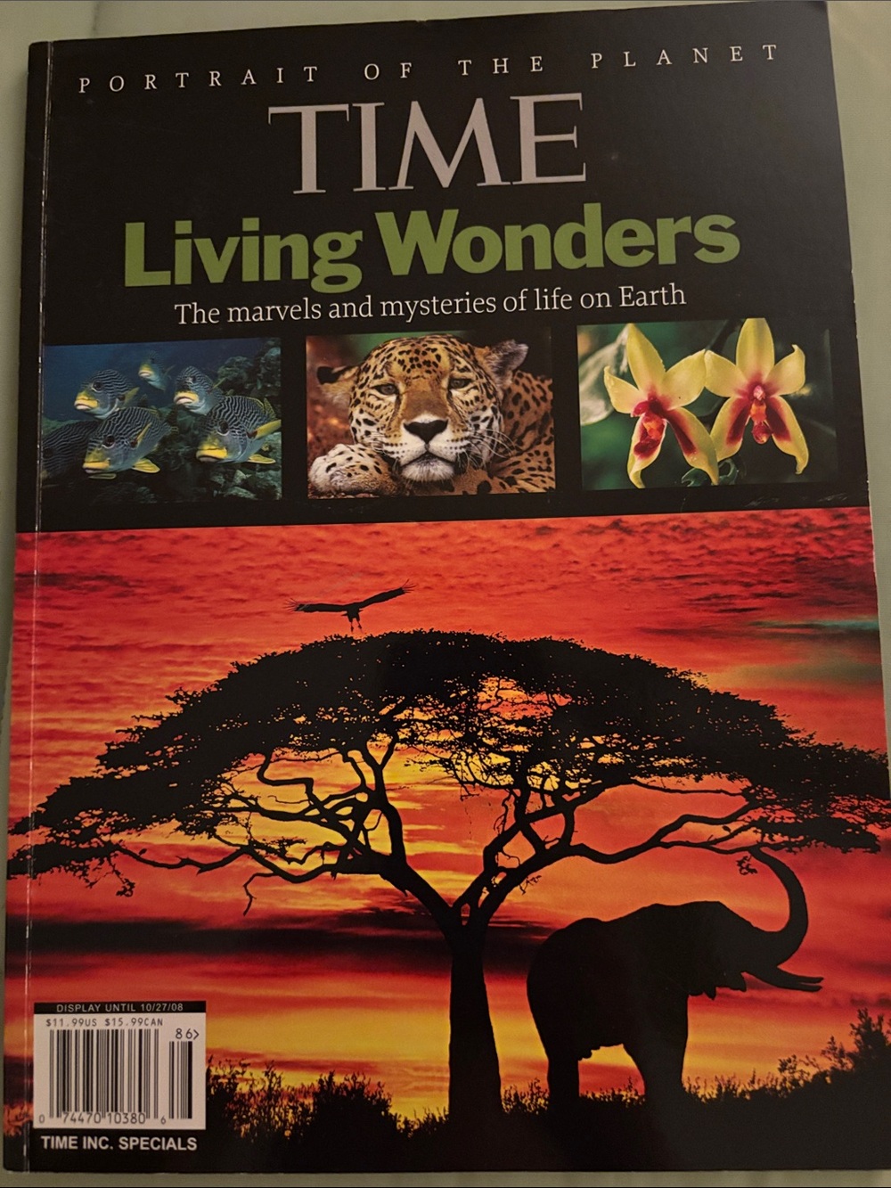 Living Wonders Hardcover Book - Black & Orange Cover